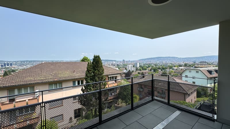Schöne 2.5 Zimmer Wohnung am Stadtrand in Zürich (2)