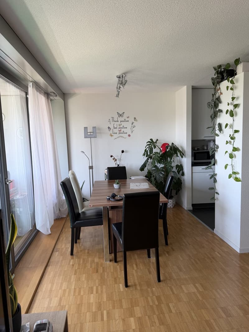 Nachmieter gesucht 4.5-Zimmer-Wohnung in Aarau (13)