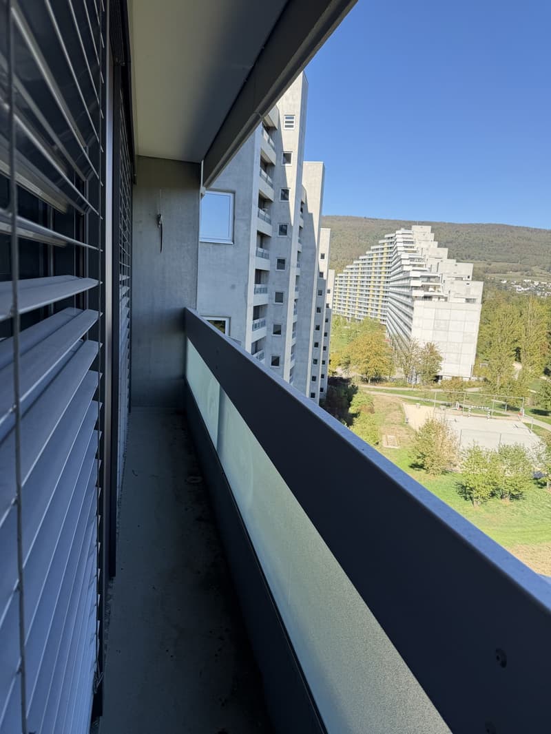 Nachmieter gesucht 4.5-Zimmer-Wohnung in Aarau (8)