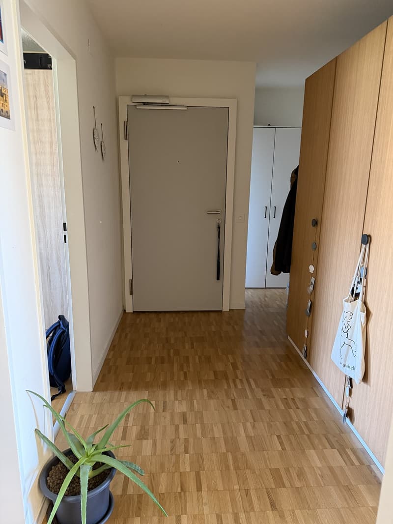 Nachmieter gesucht 4.5-Zimmer-Wohnung in Aarau (4)