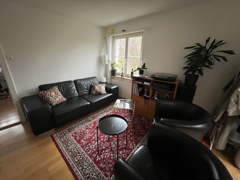 WG Zimmer in einer 3er WG zu vermieten (3)