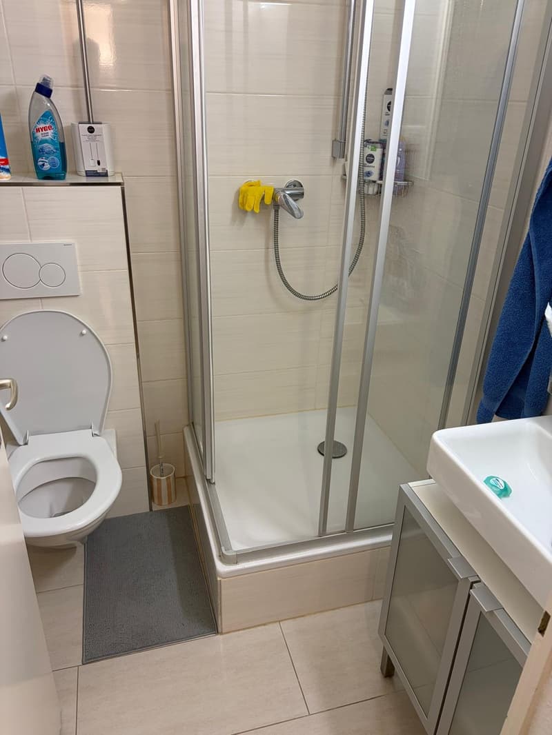 2.5 Zimmerwohnung in Zürich Wipkingen (4)