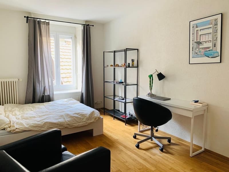 Möbliert & Unbefristet - WG-Zimmer in ZH Wiedikon (4)