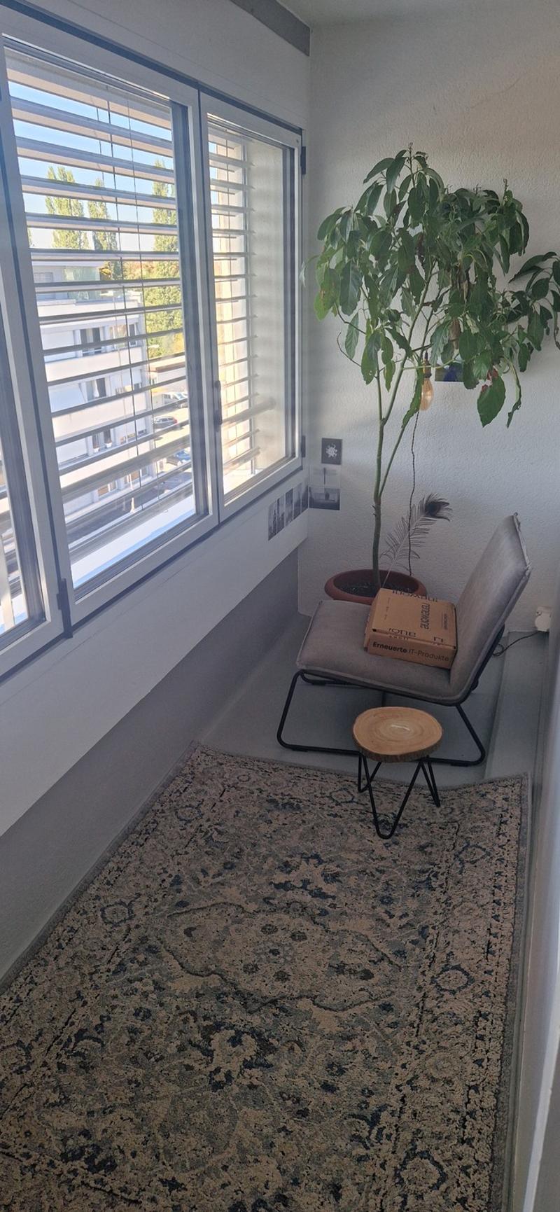 2.5-Zi-Attika mit 112 m² privater Dachterrasse  Ersatzmieter gesucht (6)