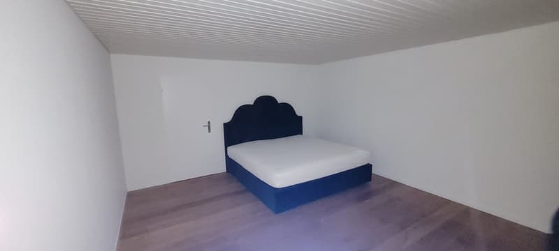 2.5-Zi-Attika mit 112 m² privater Dachterrasse  Ersatzmieter gesucht (4)