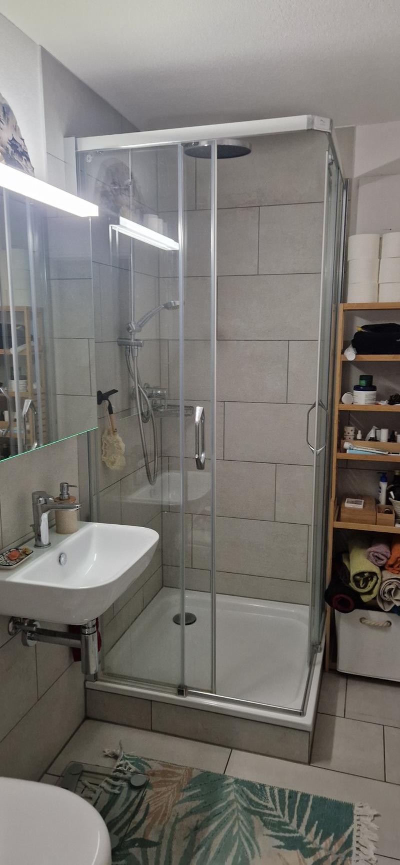 2.5-Zi-Attika mit 112 m² privater Dachterrasse  Ersatzmieter gesucht (5)