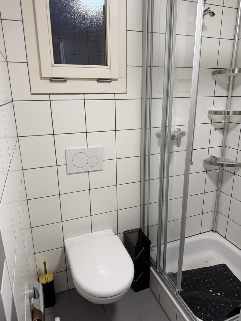Nachmieter gesucht ab 01.12.2026 grosszügige 5.5-Zimmer-Wohnung im EG mit Garten (10)