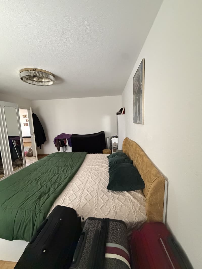 Nachmieter gesucht ab 01.12.2026 grosszügige 5.5-Zimmer-Wohnung im EG mit Garten (7)