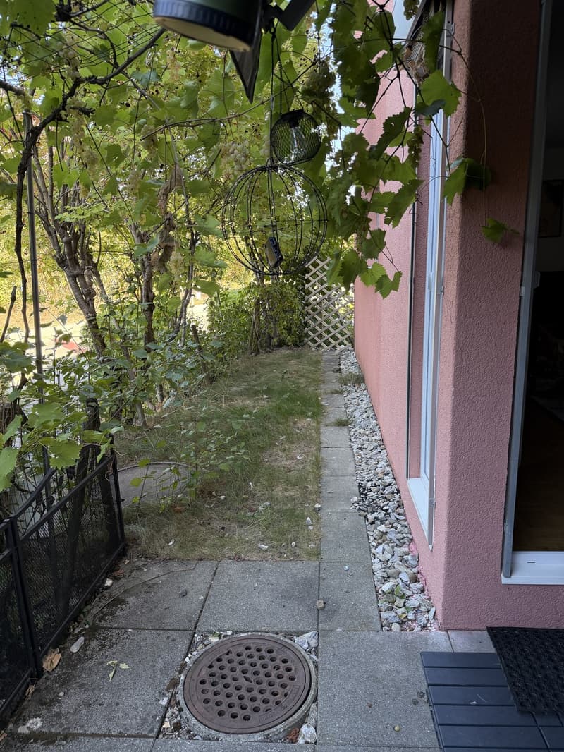Nachmieter gesucht ab 01.12.2026 grosszügige 5.5-Zimmer-Wohnung im EG mit Garten (3)