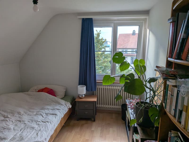 WG-Zimmer zentral in Wädenswil (2)