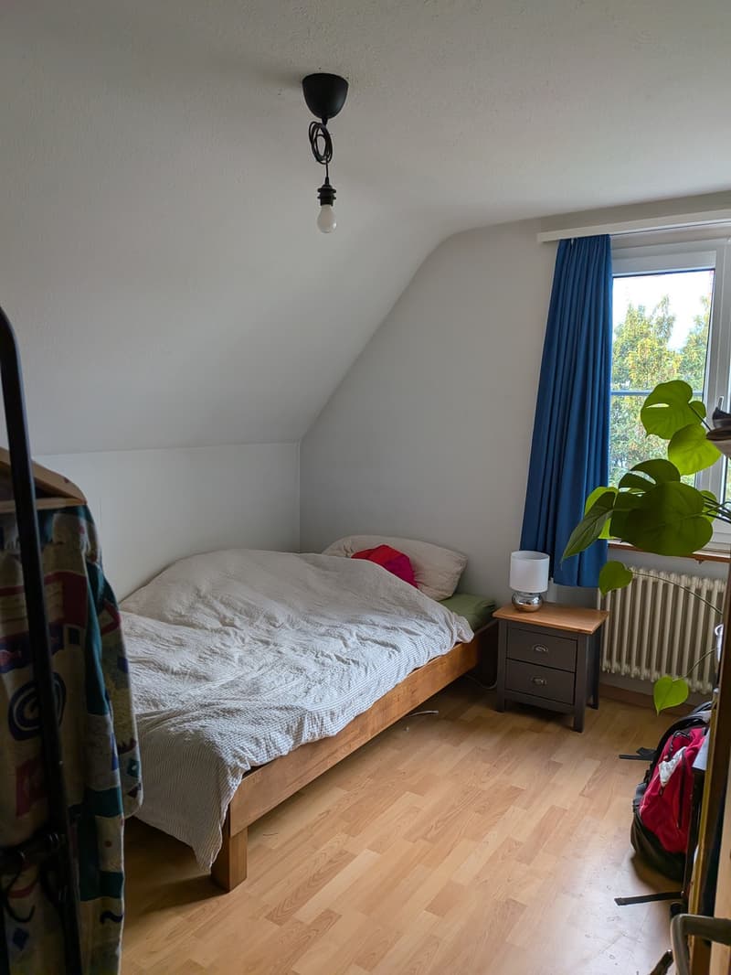 WG-Zimmer zentral in Wädenswil (1)