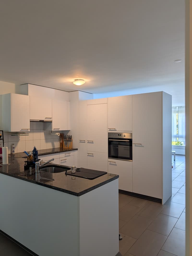 2 1/2 Wohnung direkt an der Aare in Aarau (5)