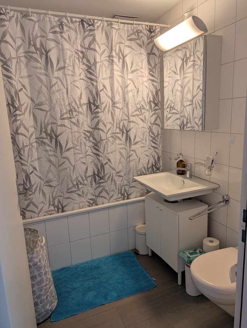 2 1/2 Wohnung direkt an der Aare in Aarau (7)