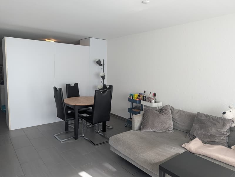 2 1/2 Wohnung direkt an der Aare in Aarau (3)