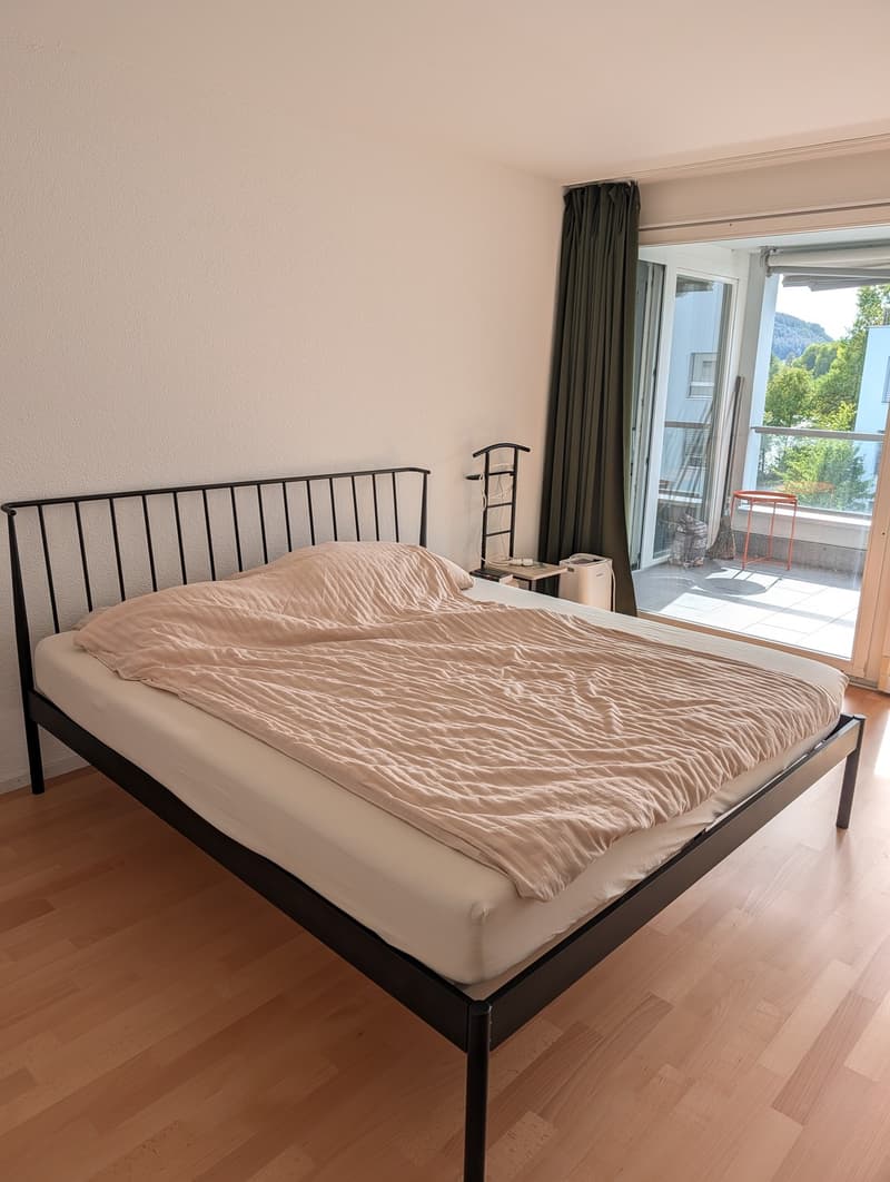 2 1/2 Wohnung direkt an der Aare in Aarau (8)