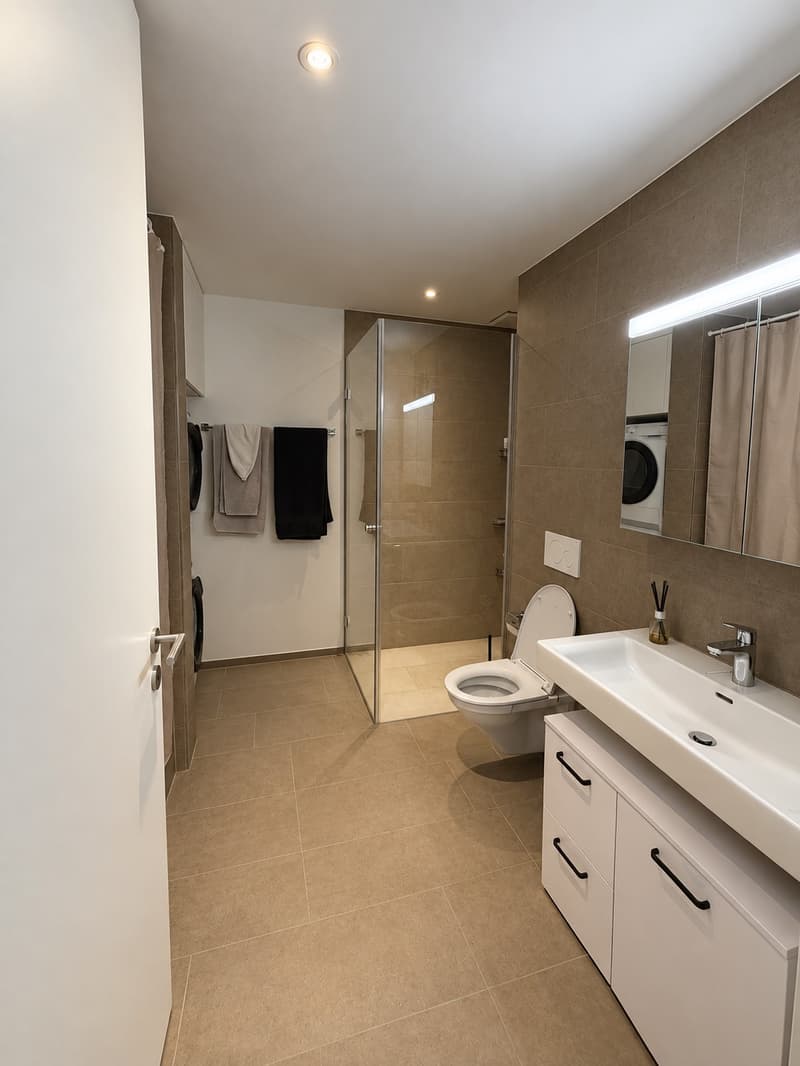 3.5-Zimmer-Wohnung in Beinwil am See Nachmieter gesucht (6)