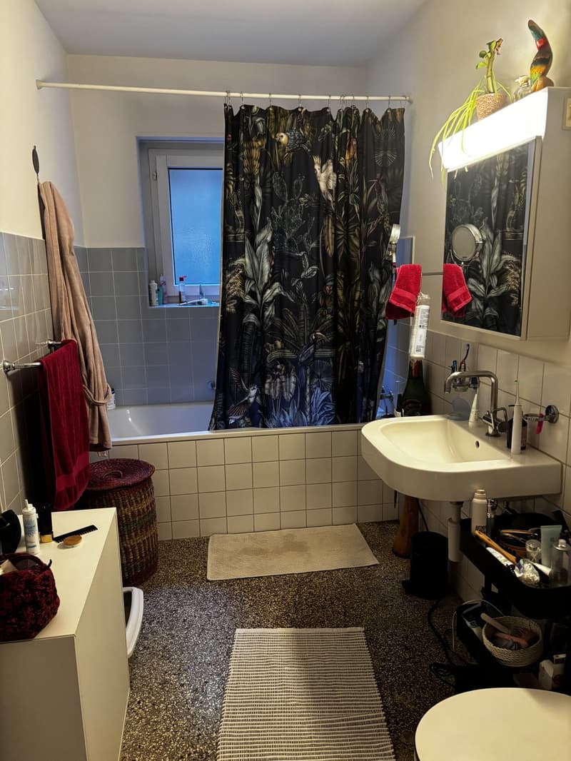 Grosszügige 3.5-Zimmer-Wohnung an zentraler Lage in Luzern (4)