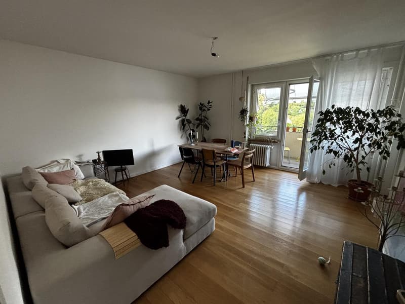 Grosszügige 3.5-Zimmer-Wohnung an zentraler Lage in Luzern (1)