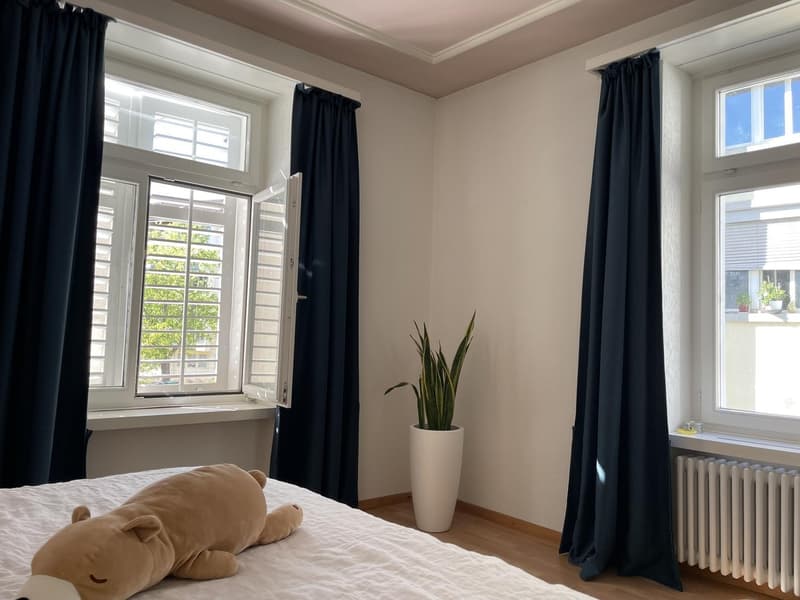 Charming 2.5-Room Apartment in the Heart of Zürich Seefeld (8)