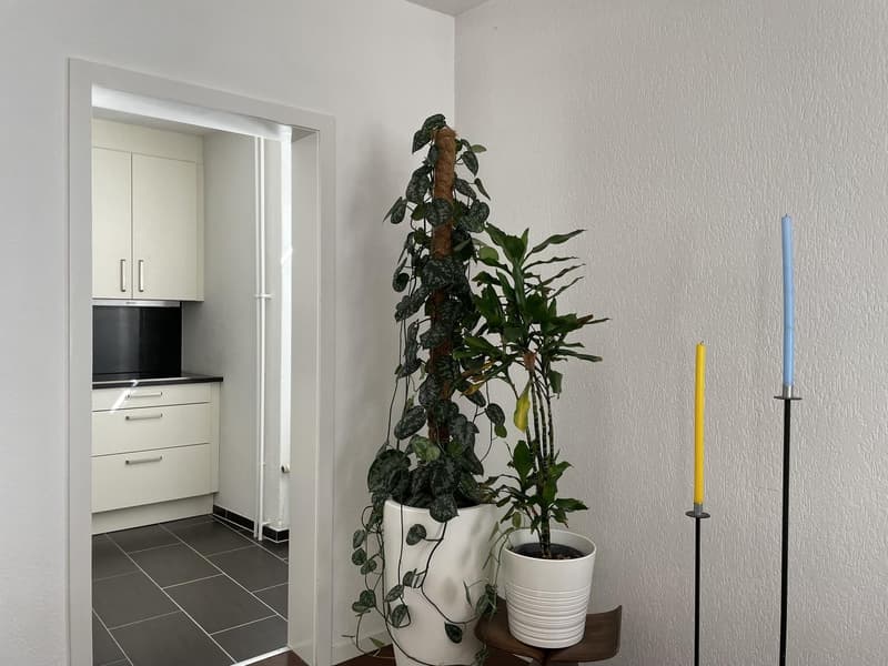Charming 2.5-Room Apartment in the Heart of Zürich Seefeld (6)