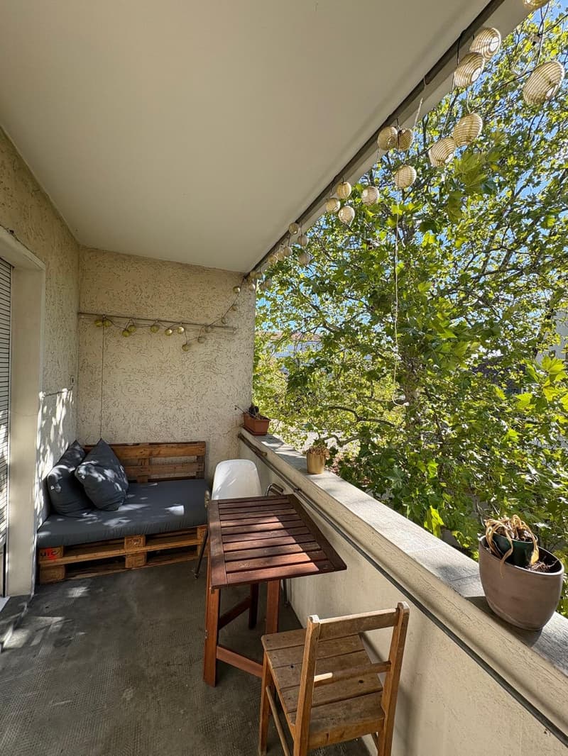 Room in a shared flat in Basel (5)