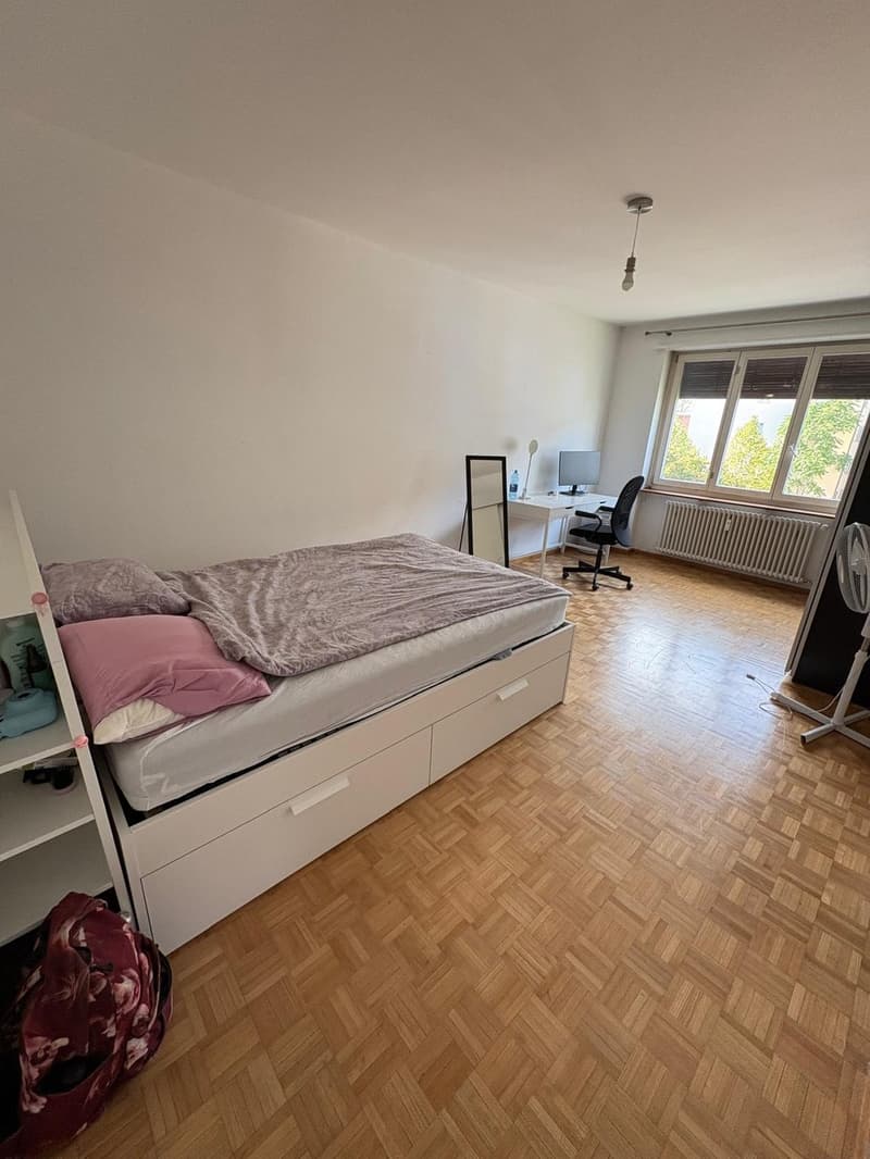 Room in a shared flat in Basel (2)