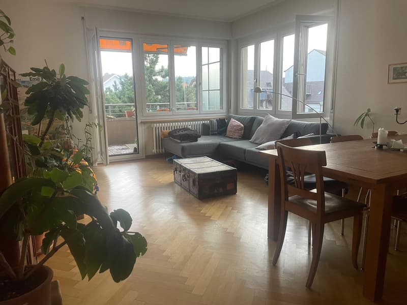 WG-Zimmer in Monbijou Quartier (1)