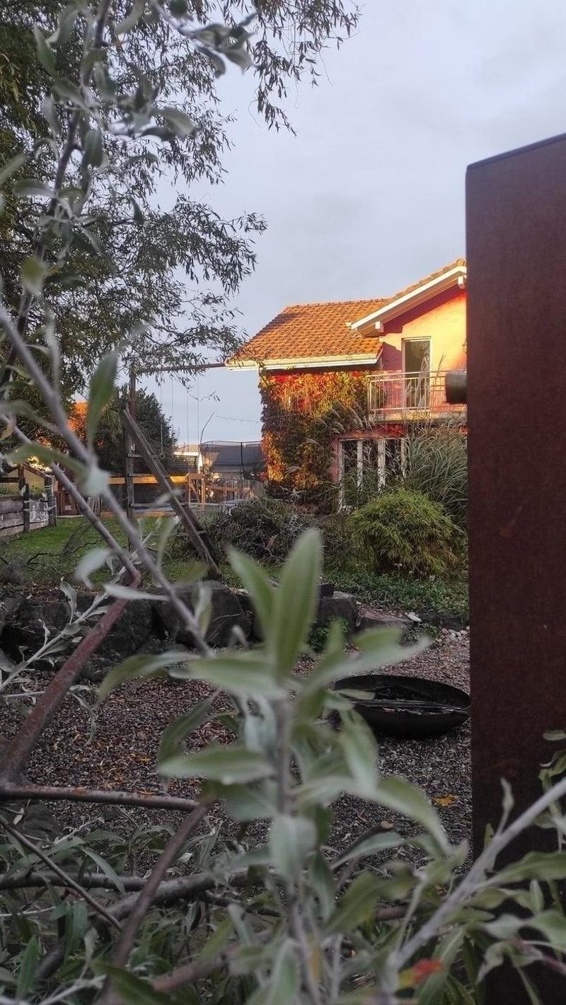 Gemüsegarten