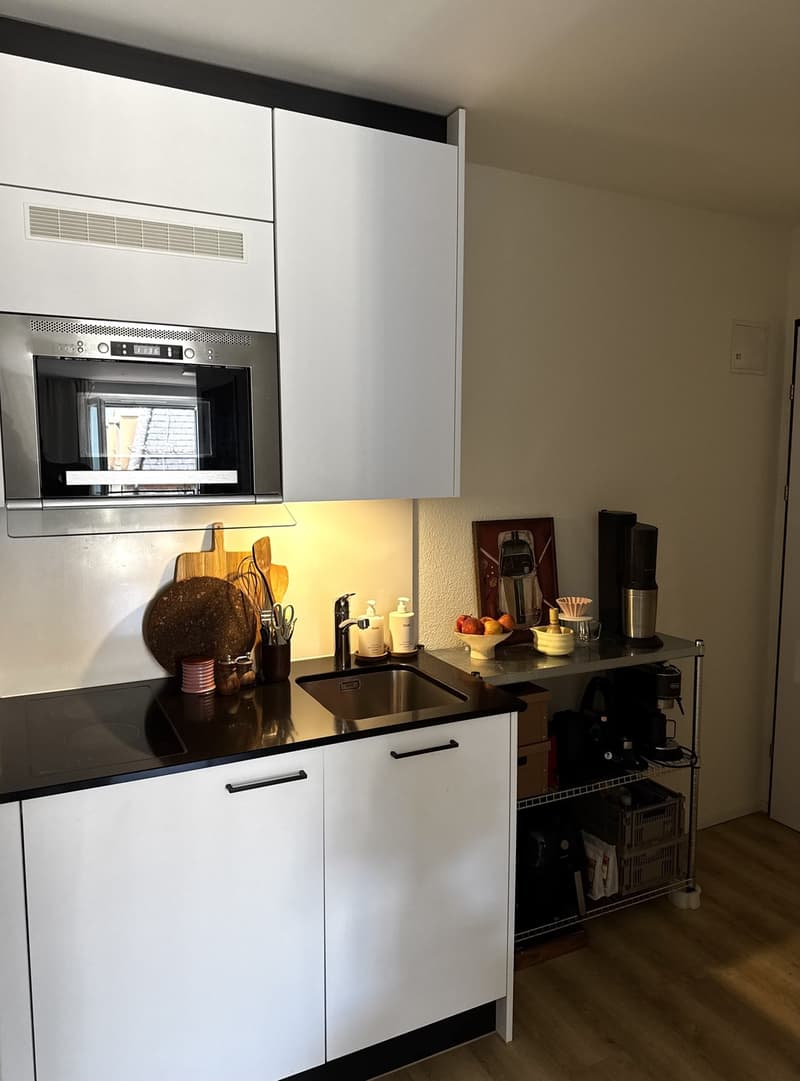 1,5 bedroom apartment for rent (4)