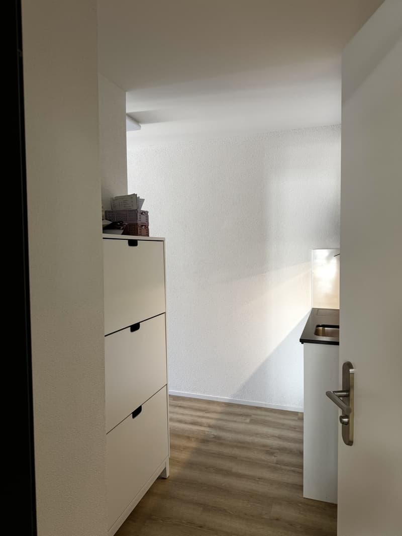 1,5 bedroom apartment for rent (2)
