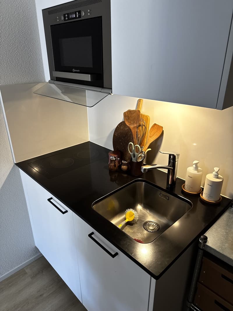 1,5 bedroom apartment for rent (3)