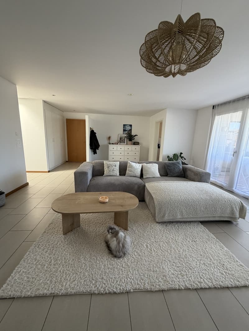 Appartement 3,5 pièce (2)