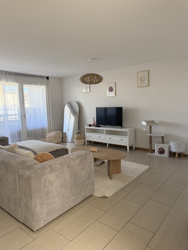 Appartement 3,5 pièce (1)
