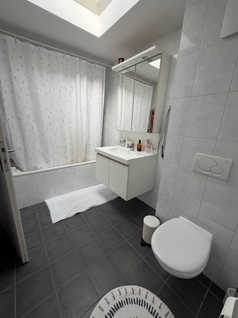 Appartement 3,5 pièce (8)