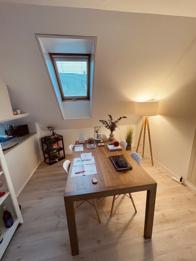 Wunderschöni 2.5 Zimmer Wohnig, befristet (4)