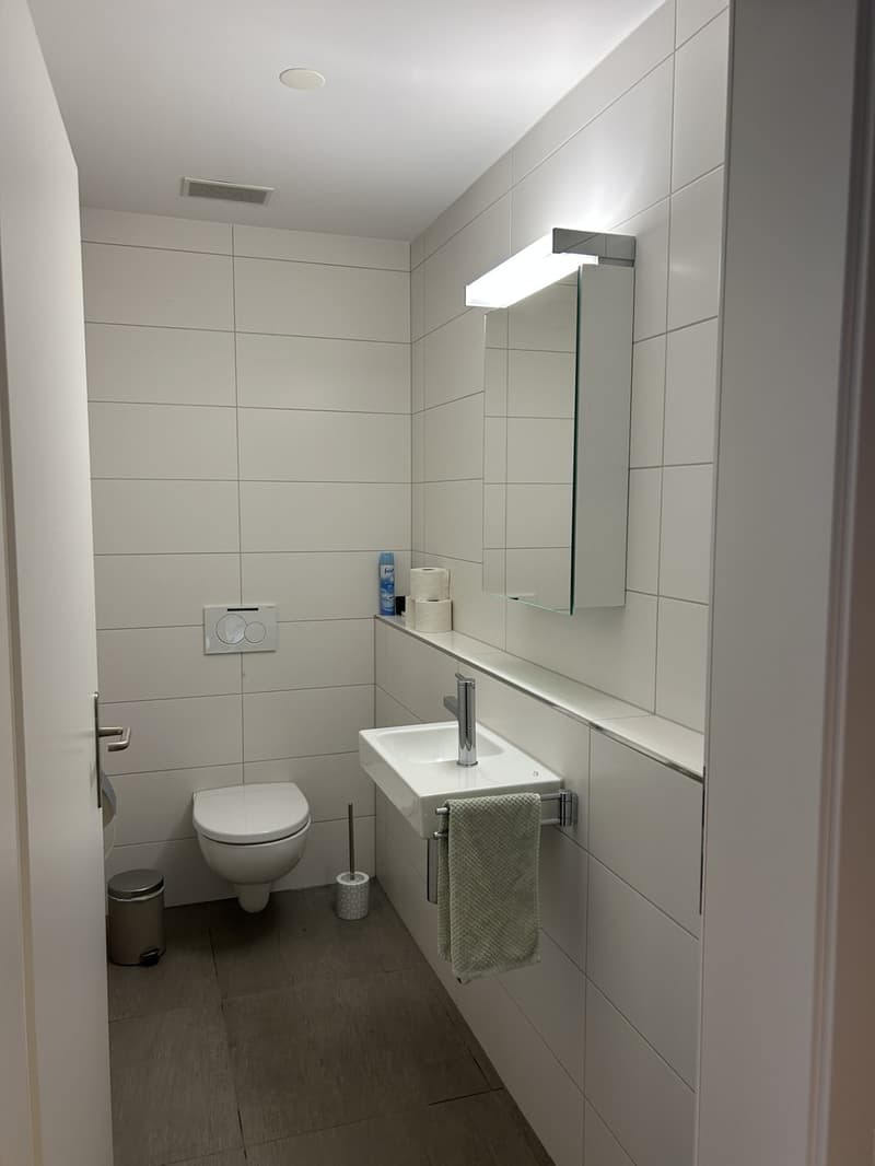 WG-Zimmer in Thun zu vermieten (8)