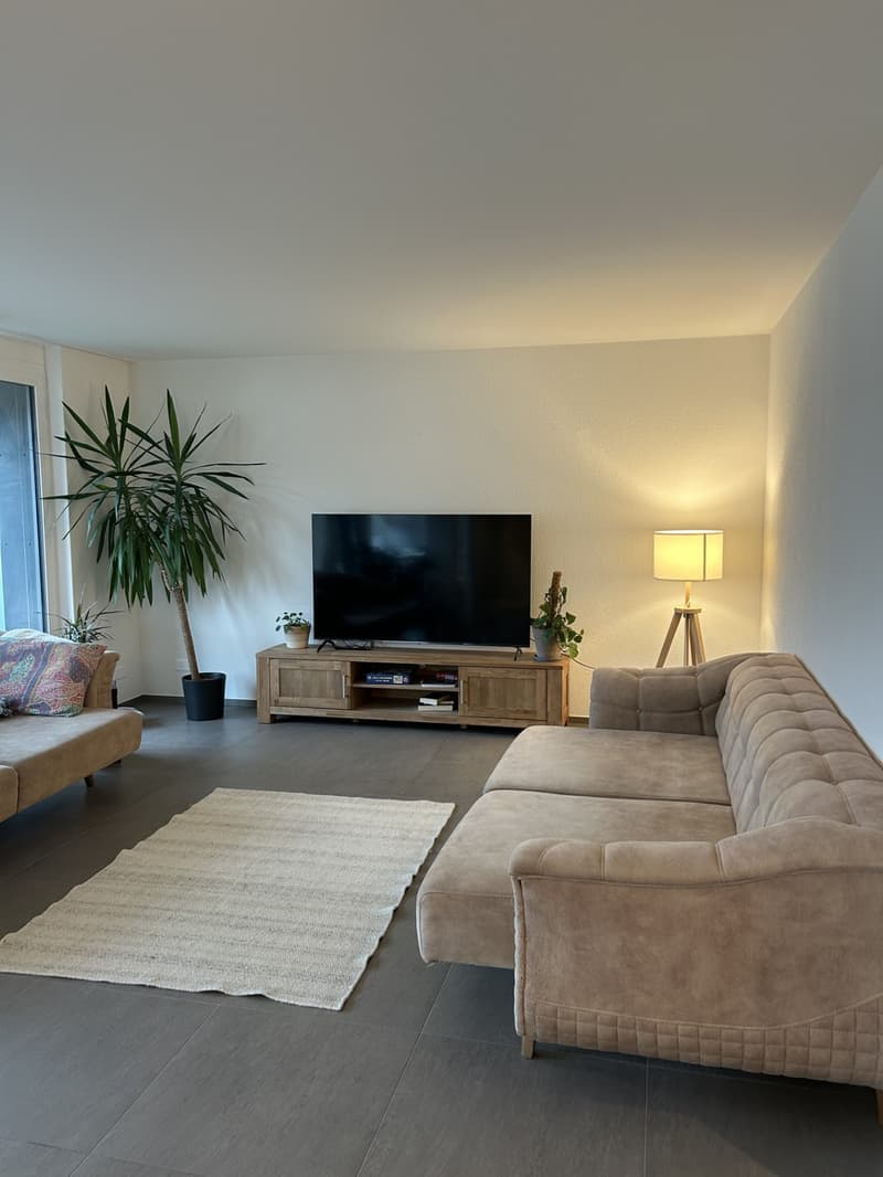 WG-Zimmer in Thun zu vermieten (3)