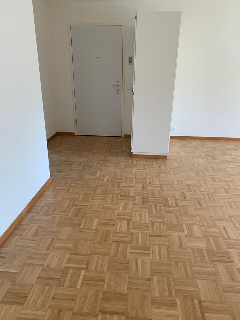 Helle 3.5-Zimmer-Wohnung in Winterthur Siedlung Neumühle (3)