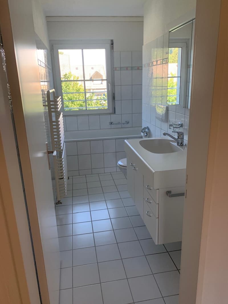 Helle 3.5-Zimmer-Wohnung in Winterthur Siedlung Neumühle (6)