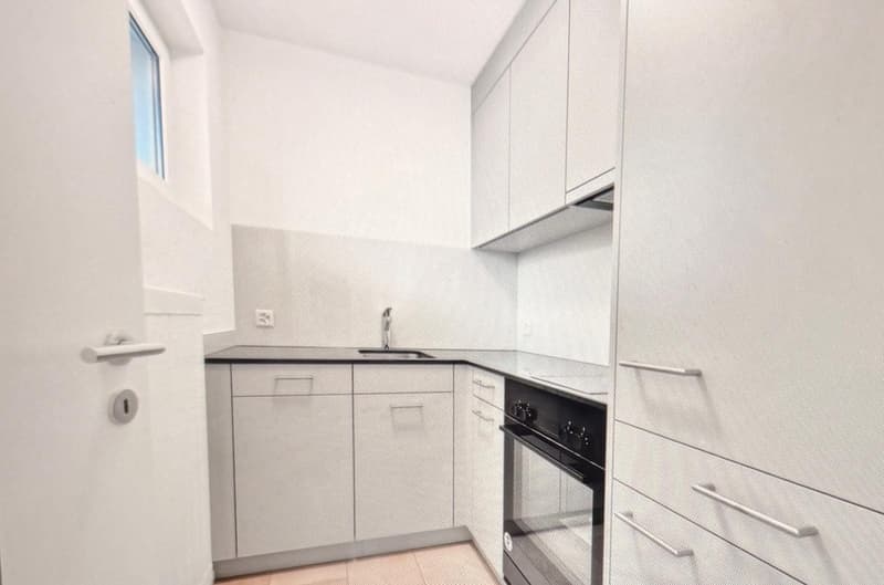 1½-Zimmer-Wohnung in Opfikon zu vermieten - nur mit Möbel (7)