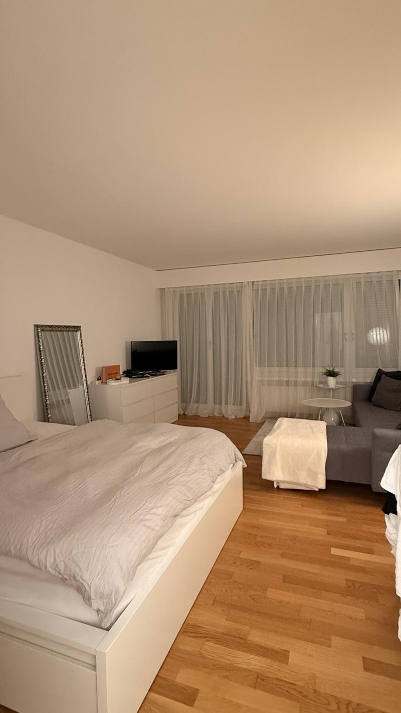 1½-Zimmer-Wohnung in Opfikon zu vermieten - nur mit Möbel (4)