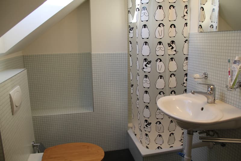 1.5 Zimmer Dachwohnung (6)