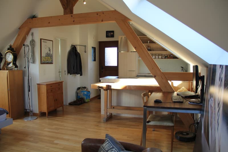 1.5 Zimmer Dachwohnung (3)