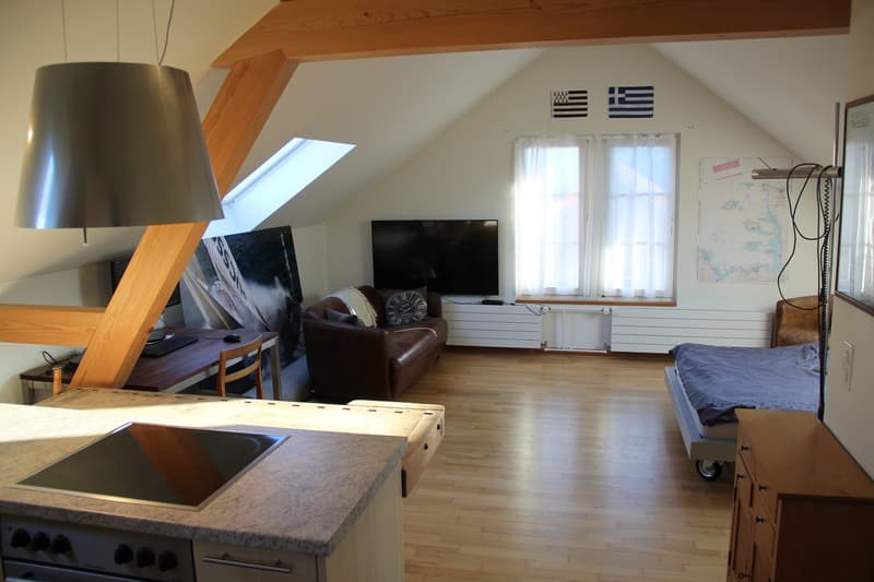 1.5 Zimmer Dachwohnung (1)