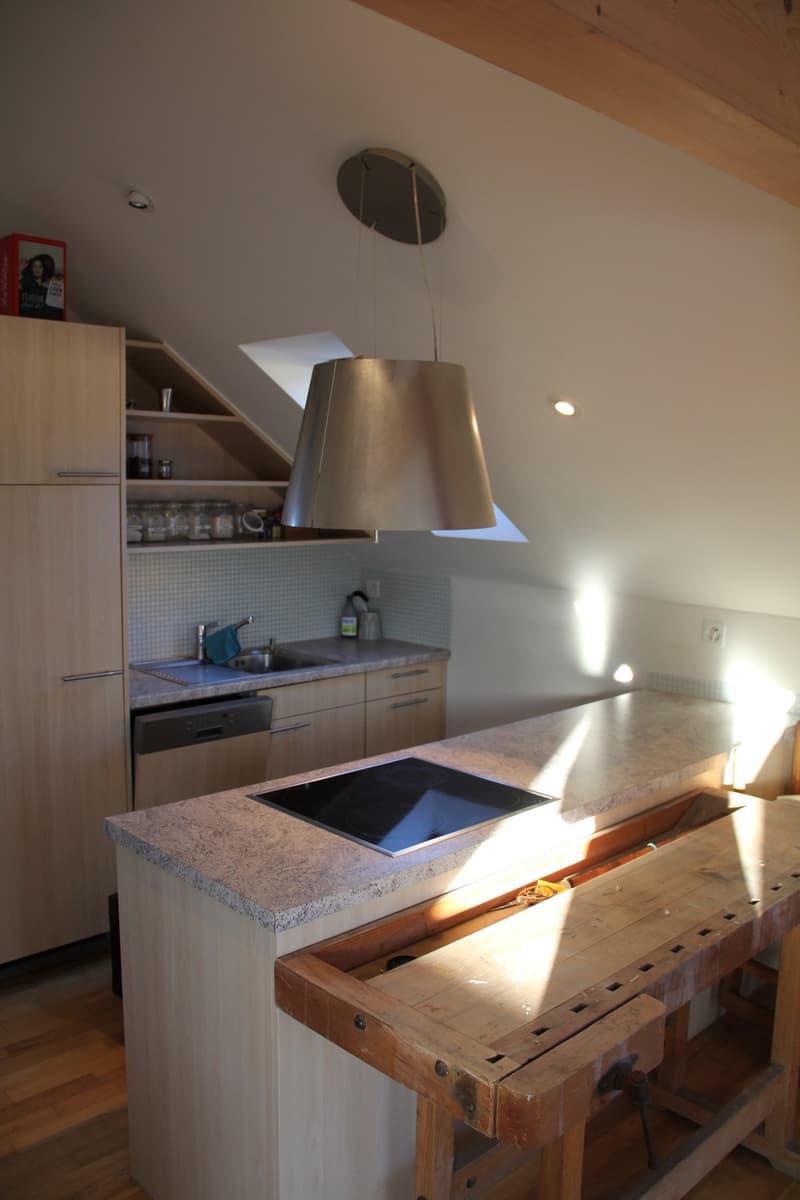 1.5 Zimmer Dachwohnung (4)