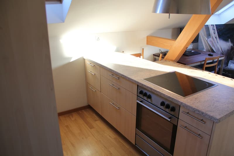 1.5 Zimmer Dachwohnung (5)
