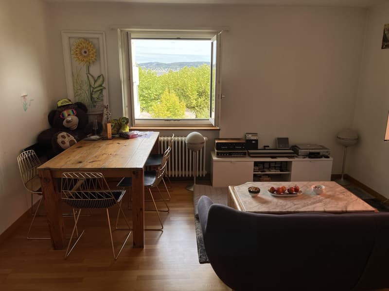 temporary - 15qm room in 8038 Zurich , from 15.Oct./1.Nov 2026 - 15.January 2027 (4)