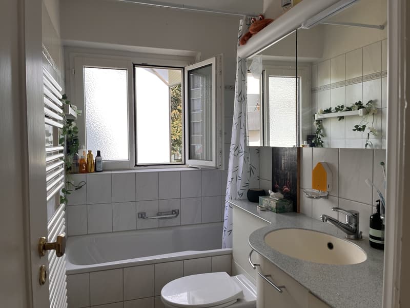 temporary - 15qm room in 8038 Zurich , from 15.Oct./1.Nov 2026 - 15.January 2027 (8)