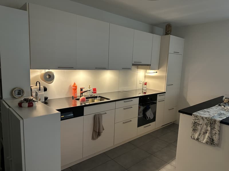 1.5 Zimmerwohnung - Nachmieter gesucht (3)