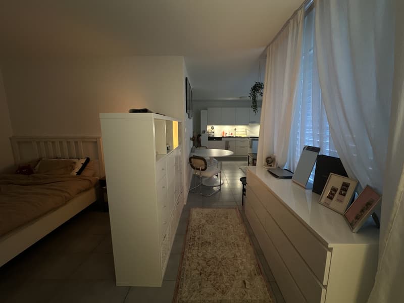 1.5 Zimmerwohnung - Nachmieter gesucht (6)